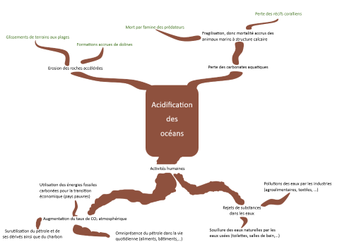 arbre1